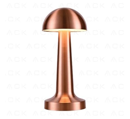 ACK 2W Copper Gövde Ledli Dokunmatik Dimli Masa Lambası AF11-00297