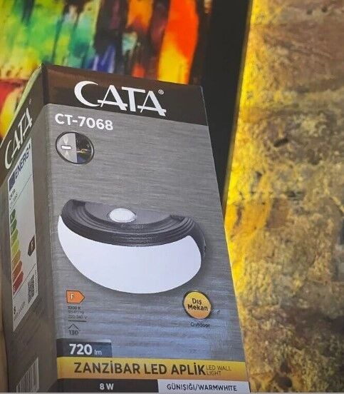 Cata 8W Zanzibar Dekoratif Dış Mekan Led Duvar Aplik Aydınlatma CT-7068